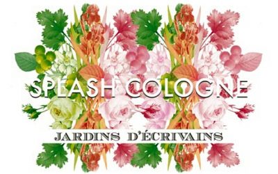 SPLASH COLOGNE – w tęsknocie za latem…